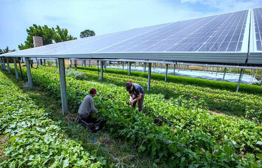 Solar Power in Farming